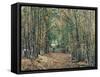 The Woods at Marly, 1871-Camille Pissarro-Framed Stretched Canvas