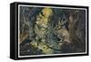 The Woods Come Alive-Udo J. Keppler-Framed Stretched Canvas