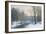 The Woods in Silver and Gold-Anders Andersen-Lundby-Framed Giclee Print