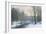 The Woods in Silver and Gold-Anders Andersen-Lundby-Framed Giclee Print