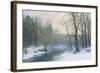 The Woods in Silver and Gold-Anders Andersen-Lundby-Framed Giclee Print