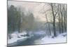 The Woods in Silver and Gold-Anders Andersen-Lundby-Mounted Giclee Print