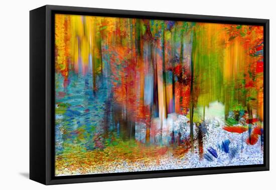 The Woods in Summer-Ursula Abresch-Framed Stretched Canvas