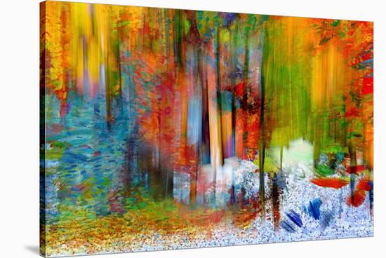 The Woods in Summer-Ursula Abresch-Stretched Canvas