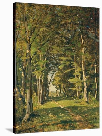 The Woods of Famars, 1887-Henri-Joseph Harpignies-Stretched Canvas