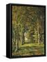 The Woods of Famars, 1887-Henri-Joseph Harpignies-Framed Stretched Canvas