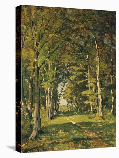The Woods of Famars, 1887-Henri-Joseph Harpignies-Stretched Canvas
