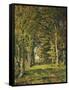 The Woods of Famars, 1887-Henri-Joseph Harpignies-Framed Stretched Canvas