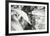 The Woodwind II-Alan Hausenflock-Framed Photographic Print