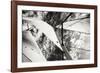 The Woodwind II-Alan Hausenflock-Framed Photographic Print