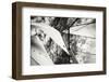The Woodwind II-Alan Hausenflock-Framed Premium Photographic Print