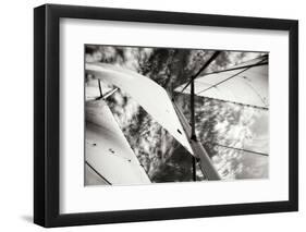 The Woodwind II-Alan Hausenflock-Framed Premium Photographic Print