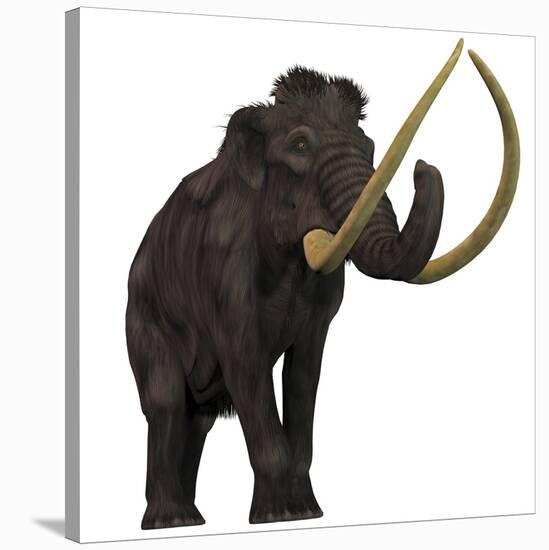 The Woolly Mammoth-null-Stretched Canvas