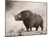 The Woolly Rhinoceros Is an Extinct Species from the Pleistocene Epoch-null-Mounted Art Print