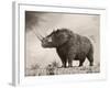 The Woolly Rhinoceros Is an Extinct Species from the Pleistocene Epoch-null-Framed Art Print