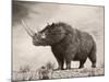 The Woolly Rhinoceros Is an Extinct Species from the Pleistocene Epoch-null-Mounted Art Print