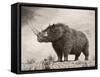 The Woolly Rhinoceros Is an Extinct Species from the Pleistocene Epoch-null-Framed Stretched Canvas