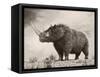 The Woolly Rhinoceros Is an Extinct Species from the Pleistocene Epoch-null-Framed Stretched Canvas