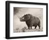 The Woolly Rhinoceros Is an Extinct Species from the Pleistocene Epoch-null-Framed Art Print