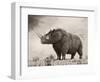 The Woolly Rhinoceros Is an Extinct Species from the Pleistocene Epoch-null-Framed Art Print