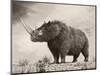 The Woolly Rhinoceros Is an Extinct Species from the Pleistocene Epoch-null-Mounted Art Print