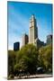 The Woolworth Building-Erin Berzel-Mounted Photographic Print