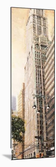 The Woolworth Building-Matthew Daniels-Mounted Premium Giclee Print