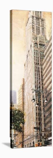 The Woolworth Building-Matthew Daniels-Stretched Canvas