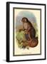 The Wooly Avari-Sir William Jardine-Framed Art Print