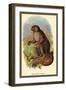 The Wooly Avari-Sir William Jardine-Framed Art Print