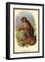 The Wooly Avari-Sir William Jardine-Framed Art Print