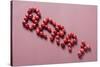 The Word Berry Written in Cranberries-Eising Studio - Food Photo and Video-Stretched Canvas