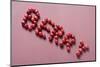 The Word Berry Written in Cranberries-Eising Studio - Food Photo and Video-Mounted Photographic Print