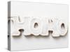 The Word Hoho in Gingerbread with White Icing-null-Stretched Canvas