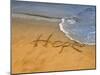 The Word Hope Carved, Popham Beach, Phippsburg, Maine, USA-Kathleen Clemons-Mounted Photographic Print