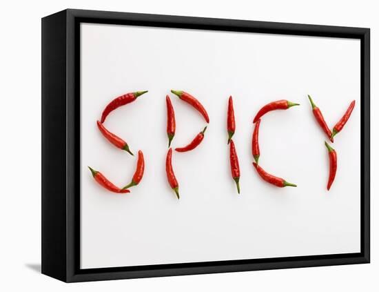 The Word 'SPICY' Written in Red Chillies-Peter Rees-Framed Stretched Canvas