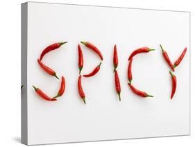 The Word 'SPICY' Written in Red Chillies-Peter Rees-Stretched Canvas