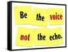 The Words Be the Voice Not the Echo as a Saying or Quote Printed on Yellow Sticky Notes-iqoncept-Framed Stretched Canvas