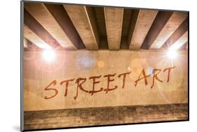 The Words Street Art Painted as Graffiti-Semmick Photo-Mounted Photographic Print