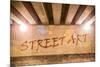 The Words Street Art Painted as Graffiti-Semmick Photo-Mounted Photographic Print