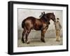 The Work Horse-Otto Bache-Framed Giclee Print