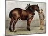 The Work Horse-Otto Bache-Mounted Giclee Print