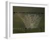 The Work of a Spider is Highlighted by the Morning Sun-null-Framed Premium Photographic Print