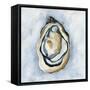 The World is Your Oyster I-Yvette St. Amant-Framed Stretched Canvas