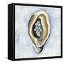 The World is Your Oyster II-Yvette St. Amant-Framed Stretched Canvas