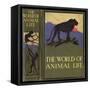 The World of Animal Life Book Front Cover-null-Framed Stretched Canvas