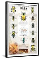 The World Of Bees-null-Framed Premium Giclee Print