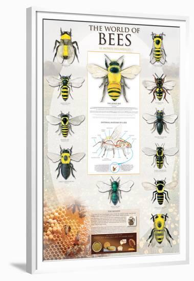 The World Of Bees-null-Framed Premium Giclee Print