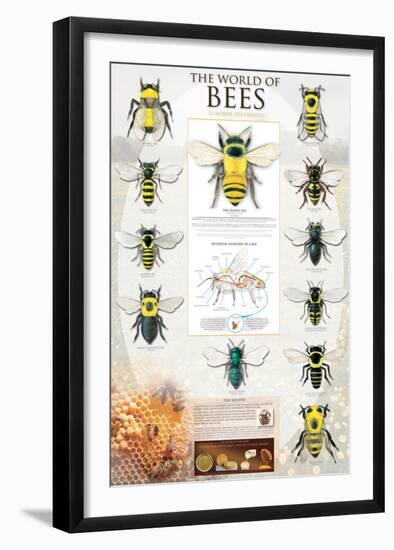 The World Of Bees-null-Framed Art Print