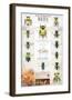 The World Of Bees-null-Framed Art Print